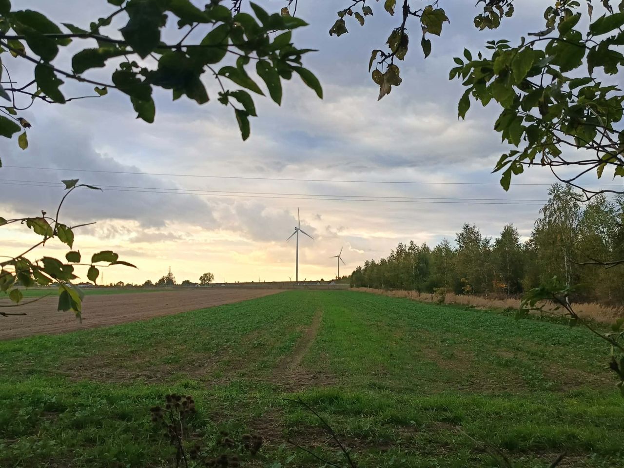 dom wolnostojący, 3 pokoje Kolonia Seredzice. Zdjęcie 6