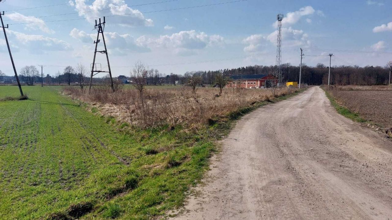 Działka inwestycyjna Suchy Bór, ul. Tartaczna. Zdjęcie 6