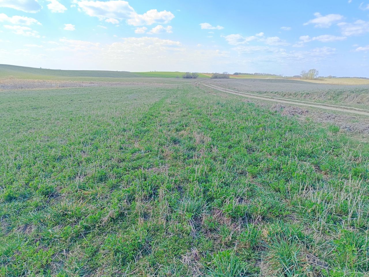 Działka rolno-budowlana Skrzypki. Zdjęcie 5