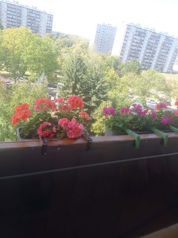 Mieszkanie na sprzedaż, 2 pokoje, 37 m², Ostrowiec Świętokrzyski