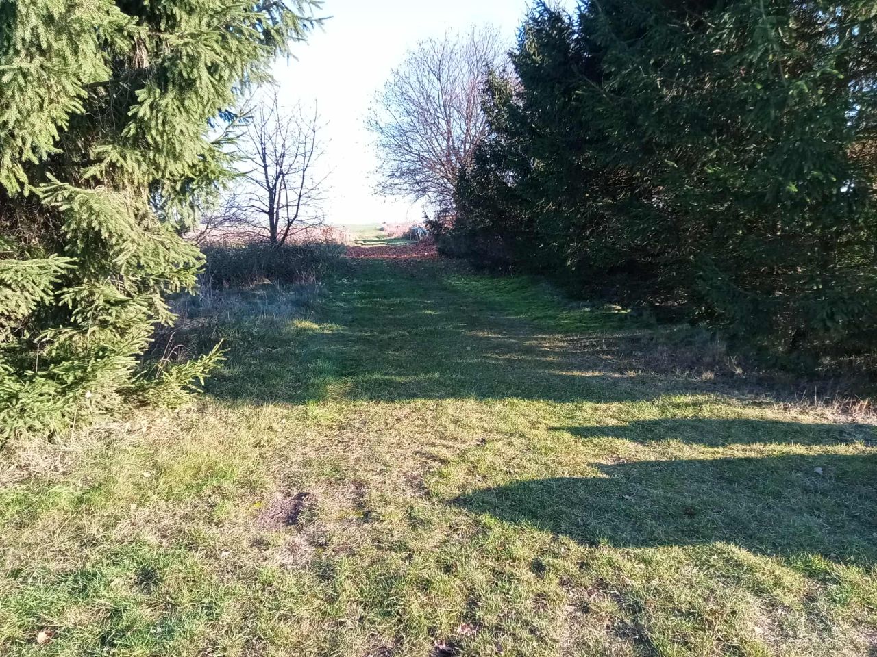 Działka budowlana Przybkowo. Zdjęcie 4