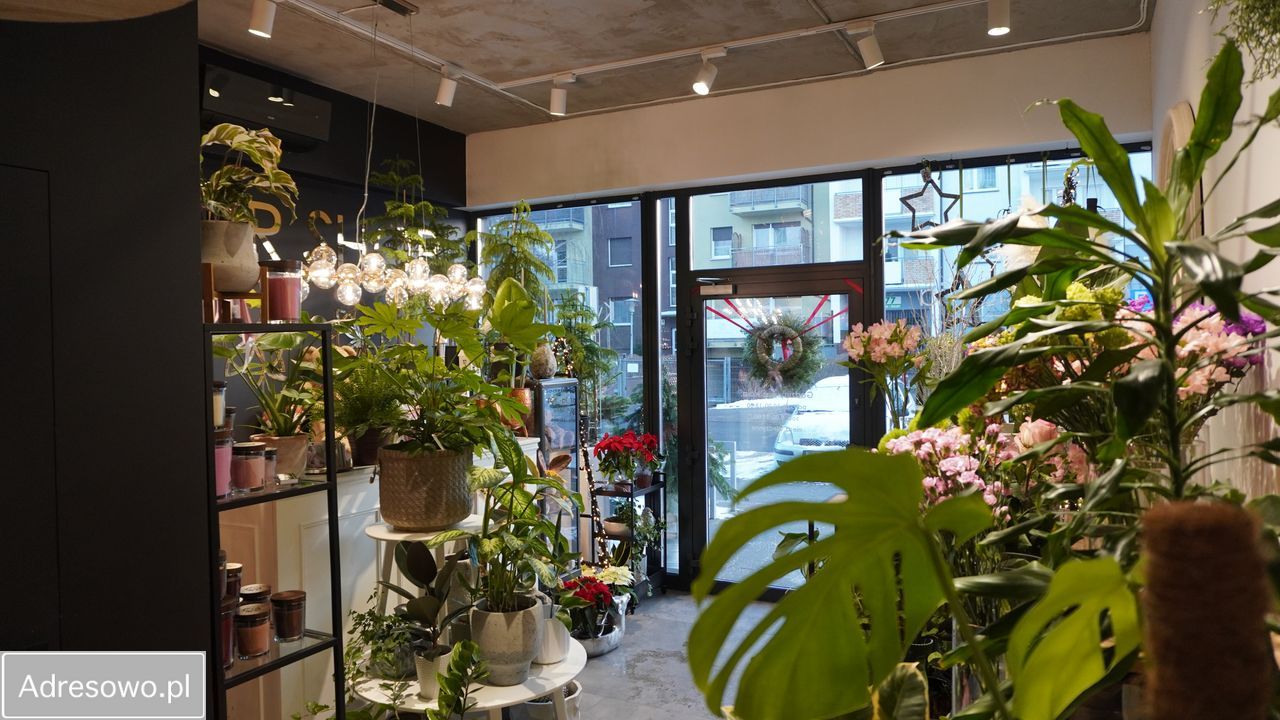 Lokal Toruń Koniuchy, ul. Żwirki i Wigury. Zdjęcie 3