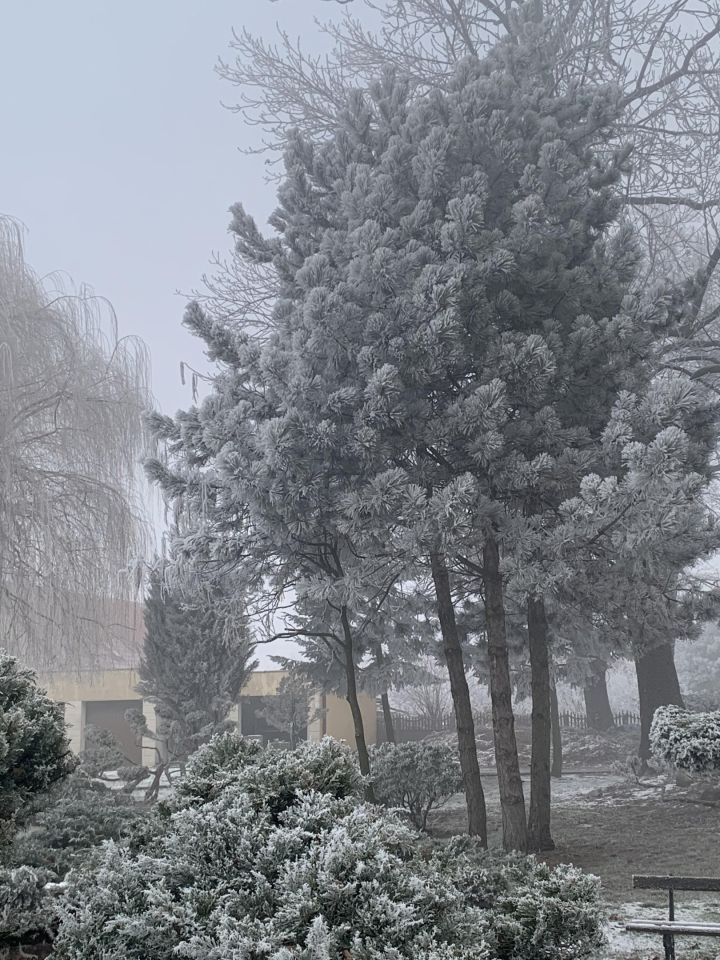 dworek, 20 pokoi Koźmin Wielkopolski, ul. Lipowa. Zdjęcie 20