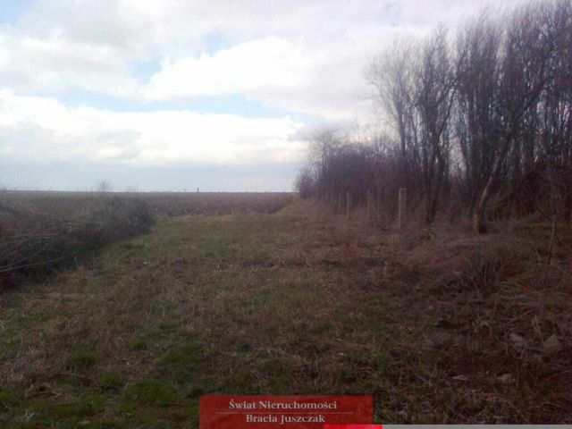 Działka budowlana Osiek. Zdjęcie 2