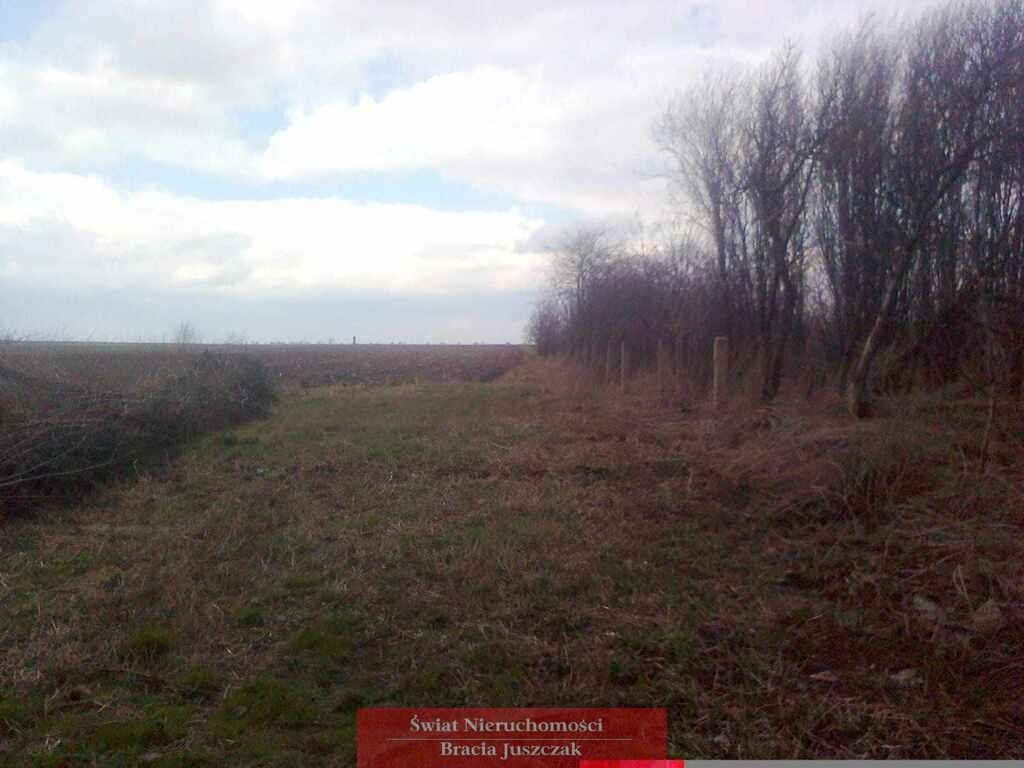 Działka budowlana Osiek. Zdjęcie 2