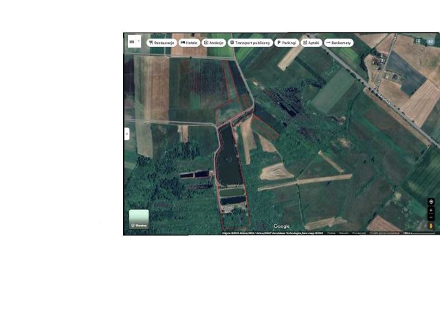 Działka rolna Wiewiórów. Zdjęcie 1