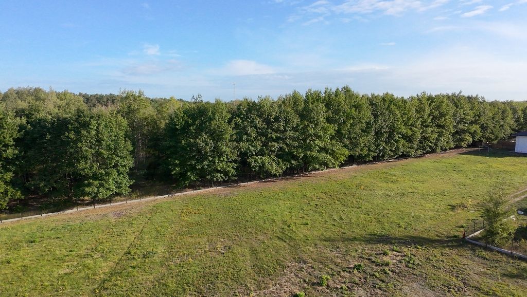 Działka budowlana Korzeniówka. Zdjęcie 9