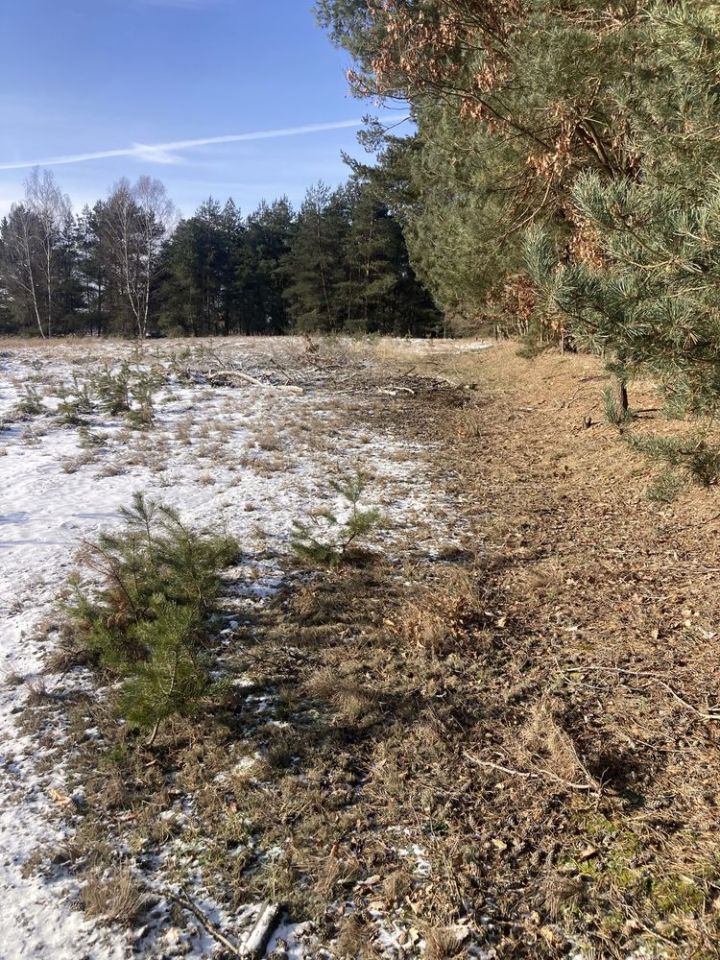 Działka budowlana Łośno, ul. Leśna. Zdjęcie 4