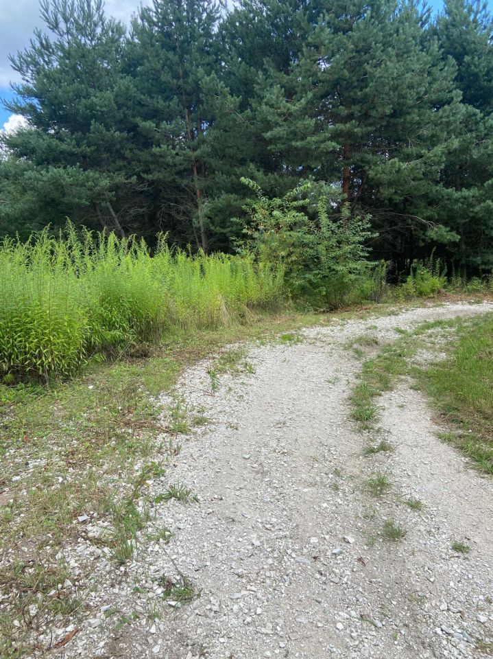 Działka budowlana Wola Morawicka. Zdjęcie 3