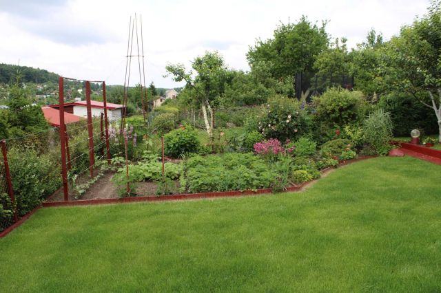 Działka rod Iława. Zdjęcie 1