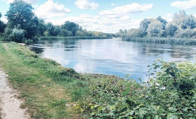 Działka budowlana Brzeźce, ul. Główna. Zdjęcie 44