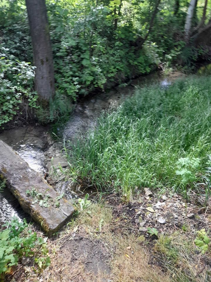 Działka budowlana Pokrzywnica. Zdjęcie 3