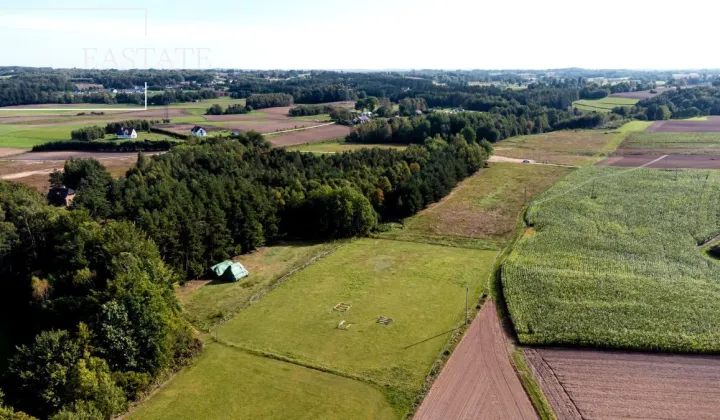 Działka budowlana Kowalewo, ul. Na Zagajnik
