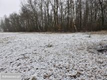 Działka rolno-budowlana Bobrek, ul. Leśna. Zdjęcie 3