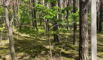 Działka leśna Warszawa Miedzeszyn, ul. Bonisławska