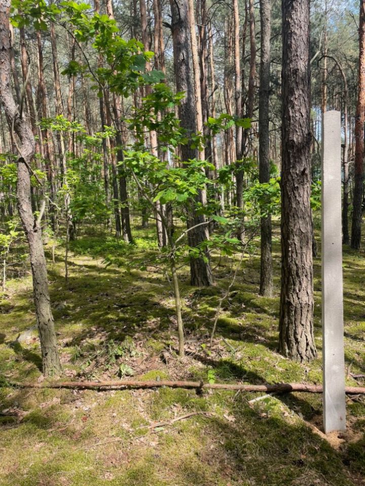 Działka leśna Warszawa Miedzeszyn, ul. Bonisławska. Zdjęcie 2