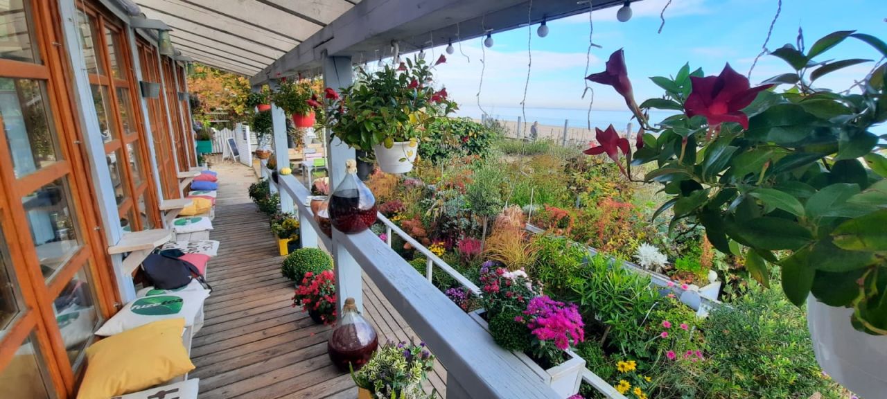 Mieszkanie 3-pokojowe Sopot Kamienny Potok, ul. Henryka Sienkiewicza. Zdjęcie 26