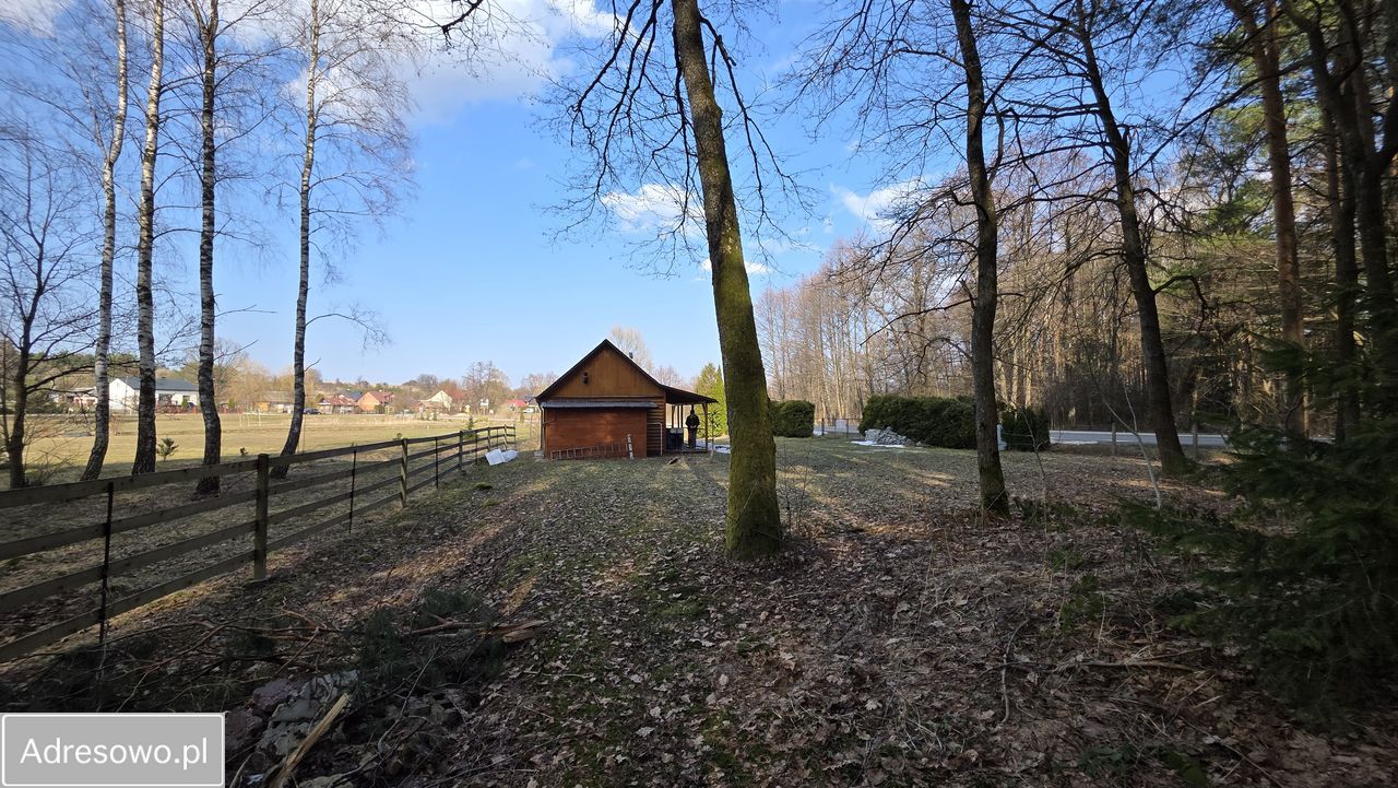 Działka leśna Wólka Łosiniecka. Zdjęcie 8