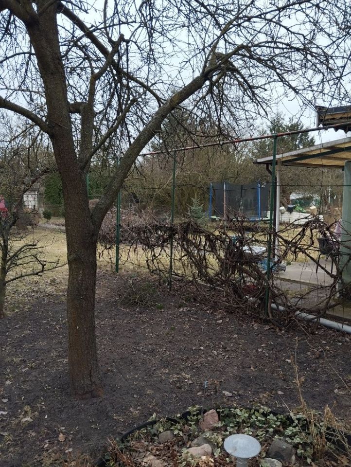 Działka rod Poznań Wilda, ul. Dolna Wilda. Zdjęcie 4