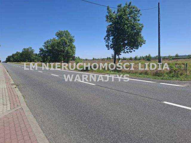 Działka inwestycyjna Wilcza, ul. Rybnicka. Zdjęcie 9