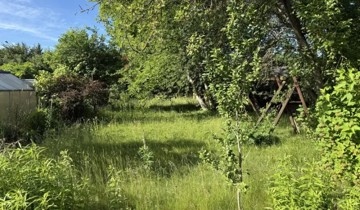 Działka rod Białystok Os. Młodych, ul. Hetmańska