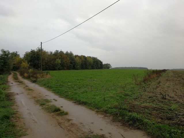 Działka rolna Wilamy. Zdjęcie 1
