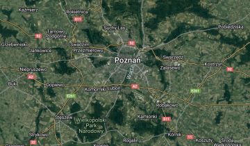 Lokal Poznań Wilda