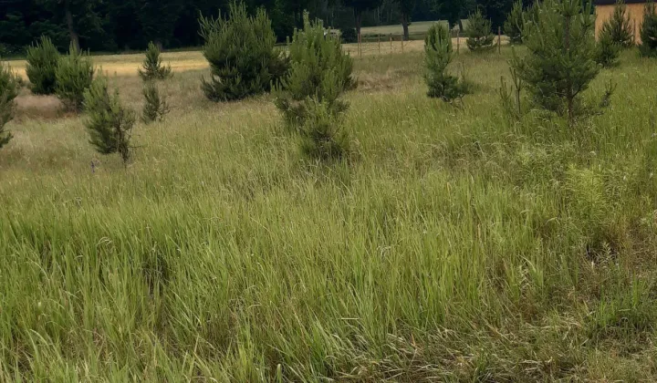 Działka budowlana Łęgowo