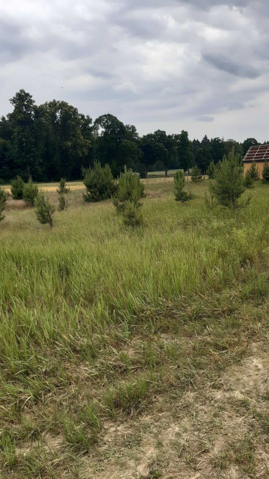 Działka budowlana Łęgowo