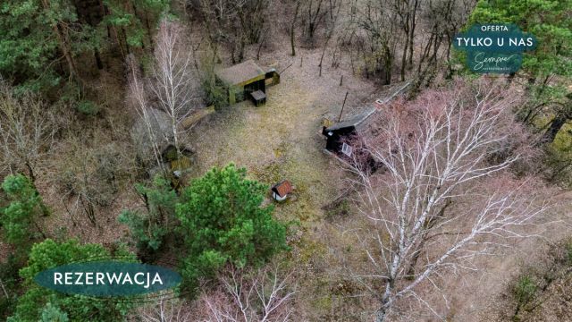 Działka leśna Kije. Zdjęcie 5