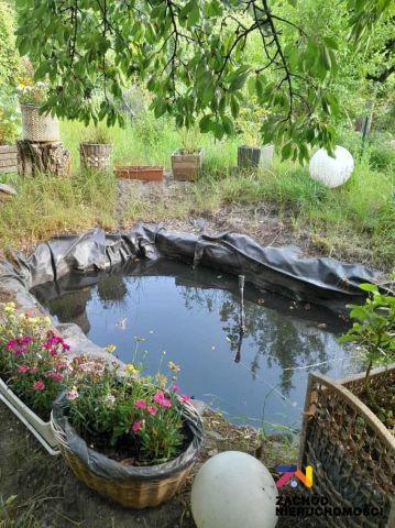 Działka rolna Zielona Góra, ul. Andrzeja Struga. Zdjęcie 2