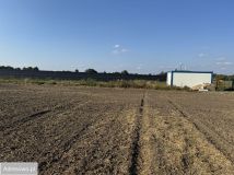 Działka rolno-budowlana Jedlno Drugie. Zdjęcie 4