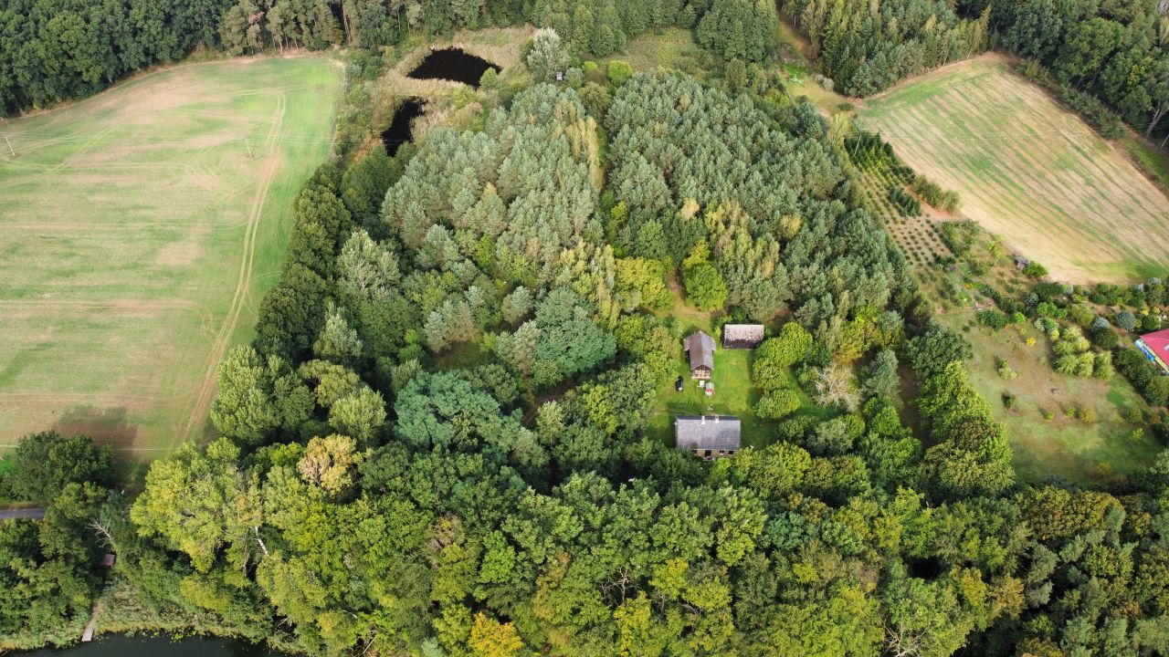 Działka rolna Gorzycko. Zdjęcie 3