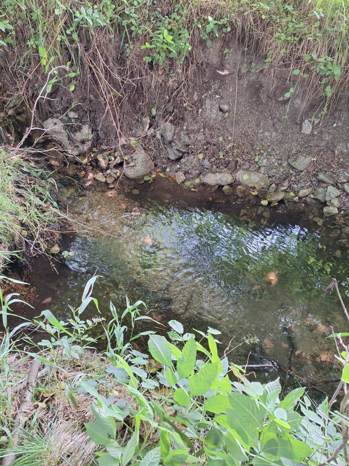 Działka rolno-budowlana Potoczek. Zdjęcie 5