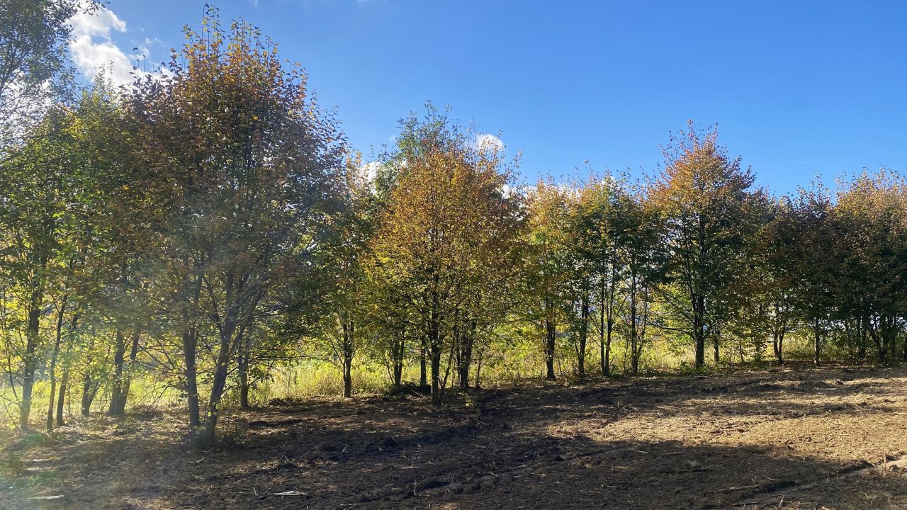 Działka budowlana Zakrzów. Zdjęcie 11