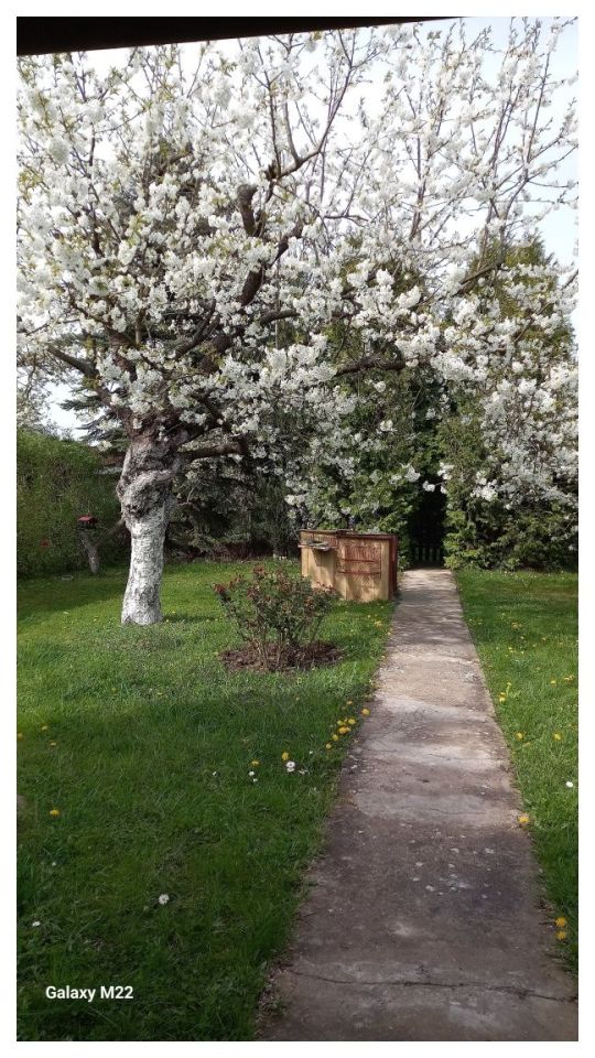 Działka rod Grudziądz. Zdjęcie 5