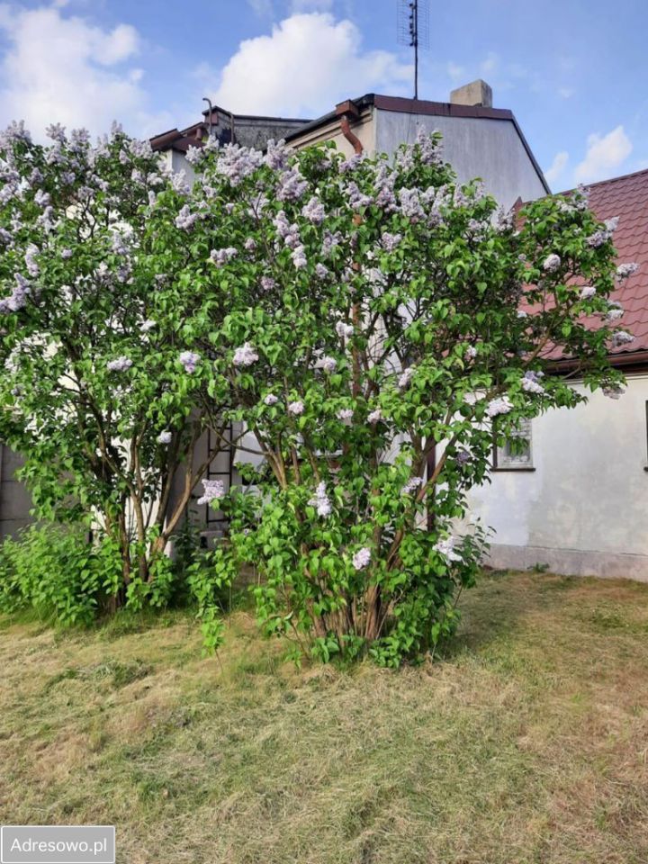 dom szeregowy, 4 pokoje Ślesin. Zdjęcie 15