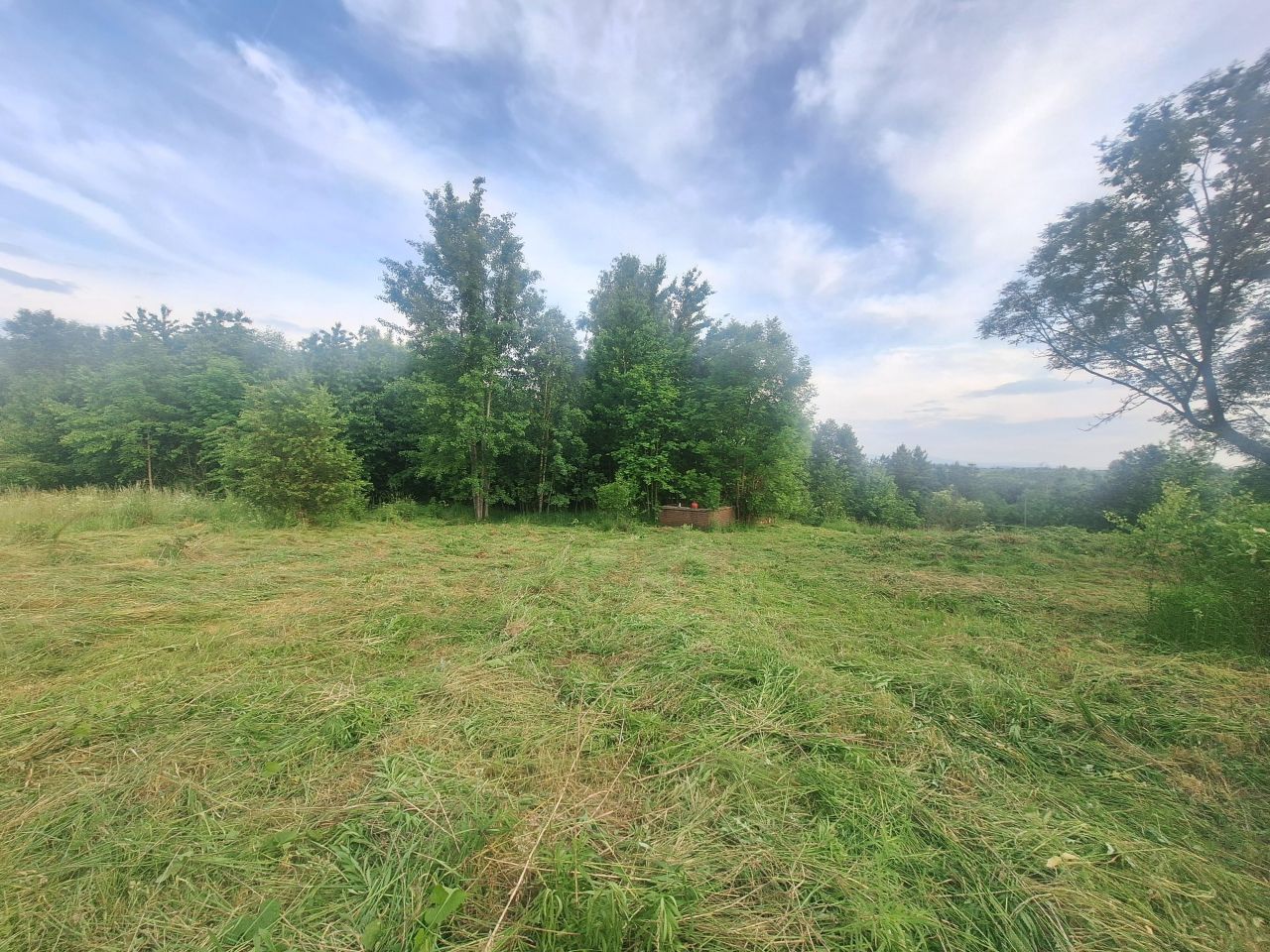 Działka siedliskowa Radostów Górny. Zdjęcie 6