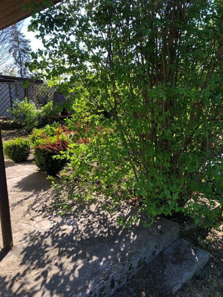 Działka rod Trzcianka. Zdjęcie 7