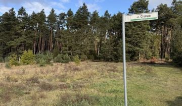 Działka budowlana Żurczyn, ul. Cisowa