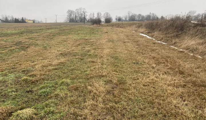 Działka inna Gołębie