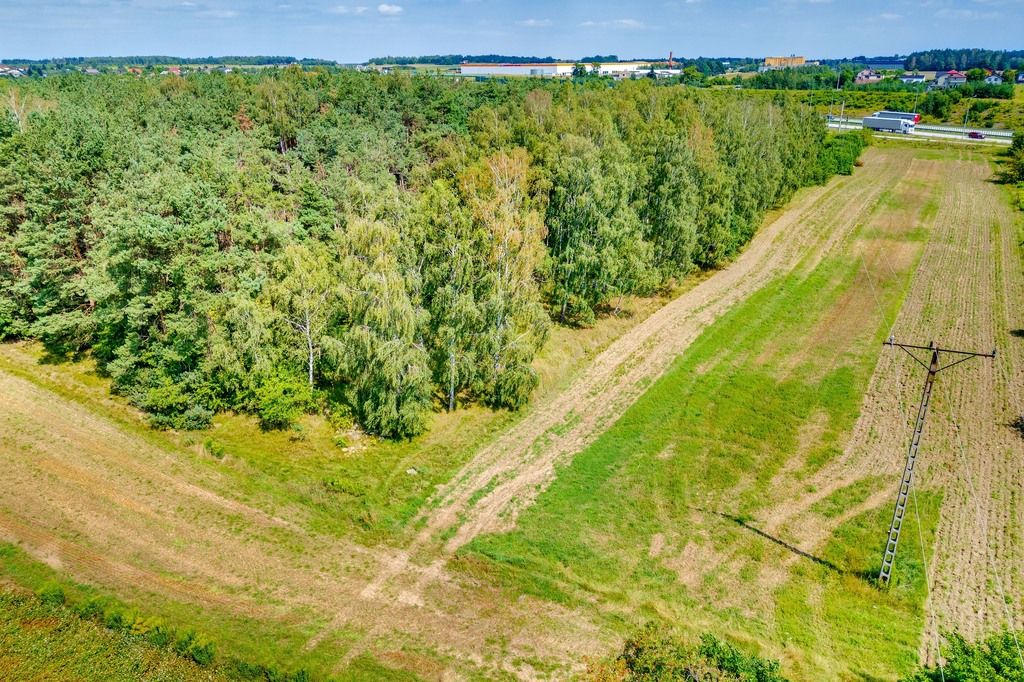 Działka Natolin. Zdjęcie 16