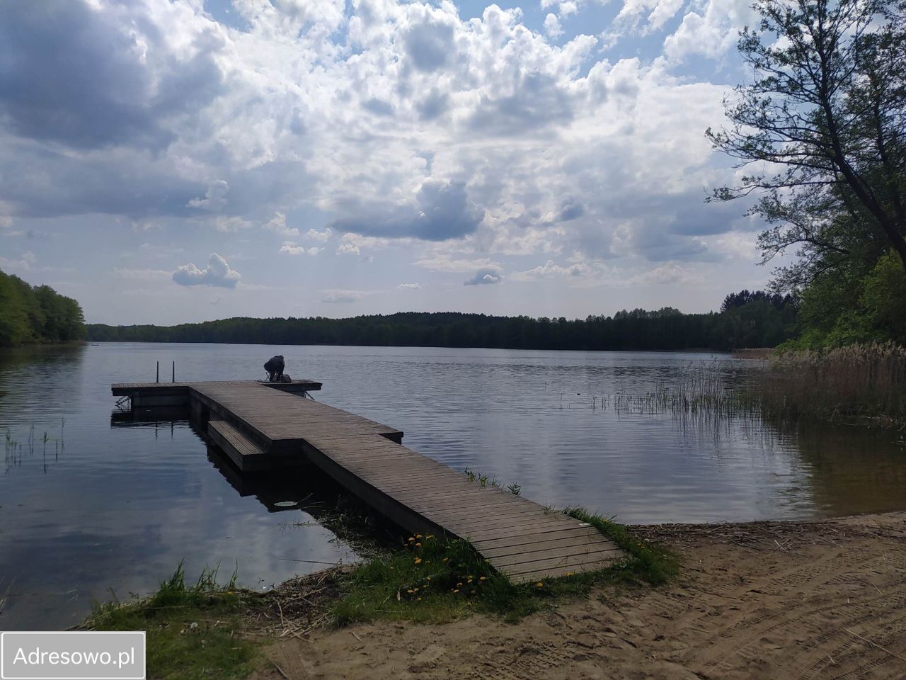 Działka rolno-budowlana Rzepowo. Zdjęcie 13