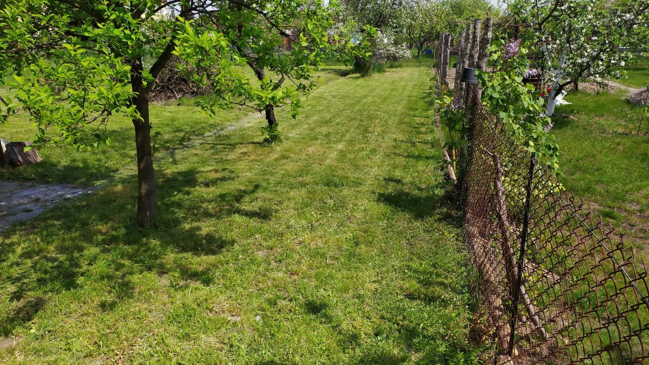 Działka rod Siechnice, ul. Lwowska. Zdjęcie 2