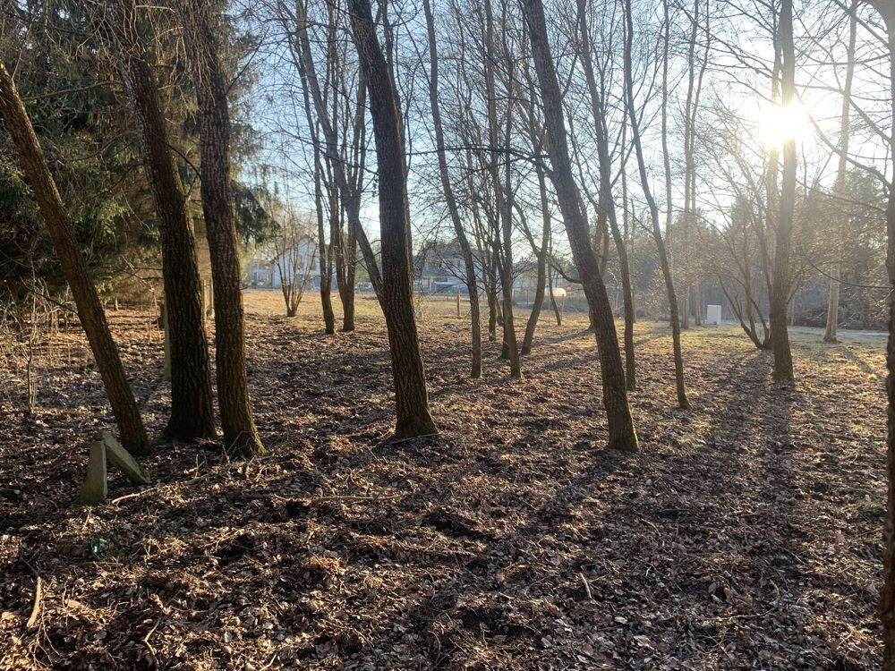 Działka budowlana Kanie, ul. Małej Łąki. Zdjęcie 5