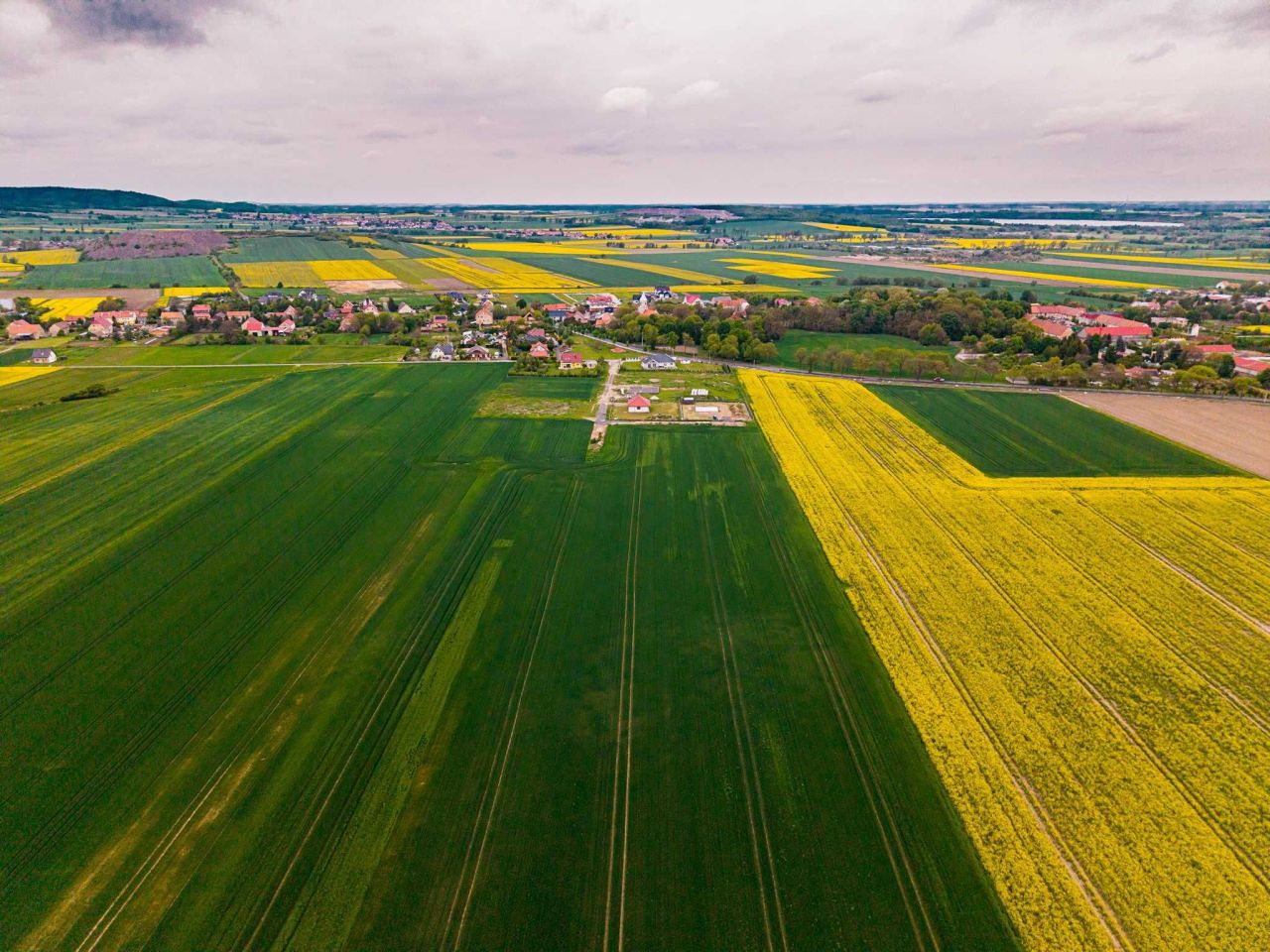 Działka rolno-budowlana Piotrowice. Zdjęcie 1