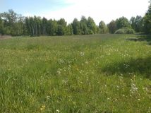 Działka budowlana Teodorów. Zdjęcie 1