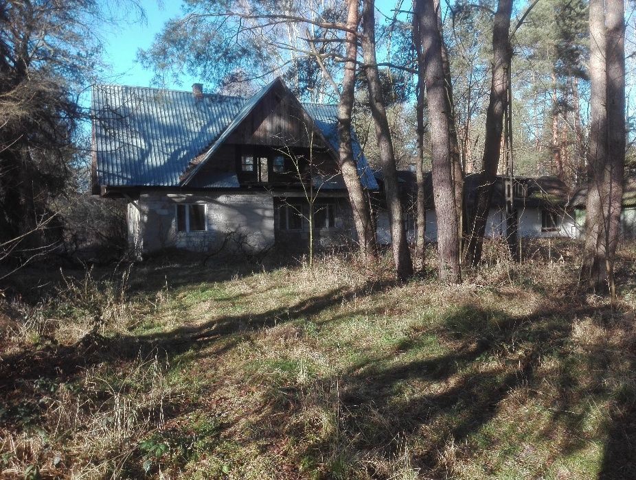 Działka rolno-budowlana Wytyczno. Zdjęcie 5