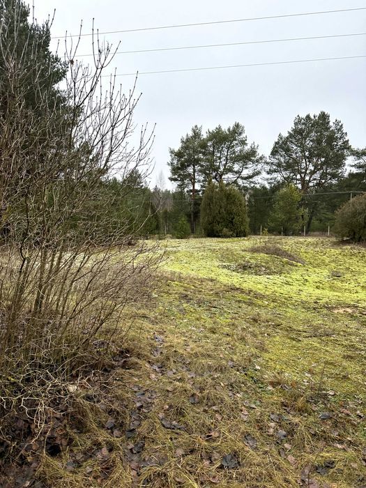 Działka budowlana Sojczynek. Zdjęcie 5