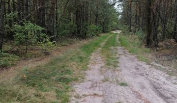 Działka leśna Sudzin